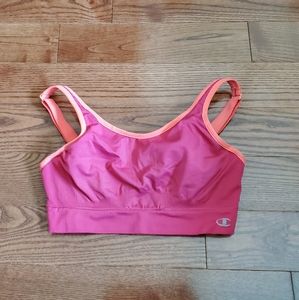 Championship Sports Bra (donated)